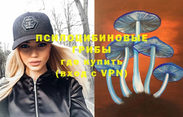 мяу мяу мука Верхний Тагил