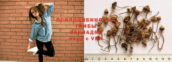 мяу мяу мука Верхний Тагил