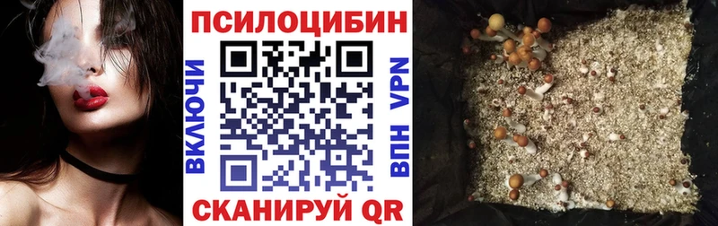 Купить Котельниково Галлюциногенные грибы Cubensis